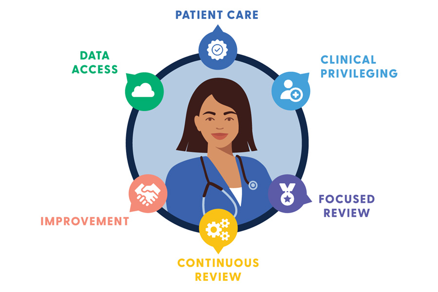 Provider Competency Graphic (1)